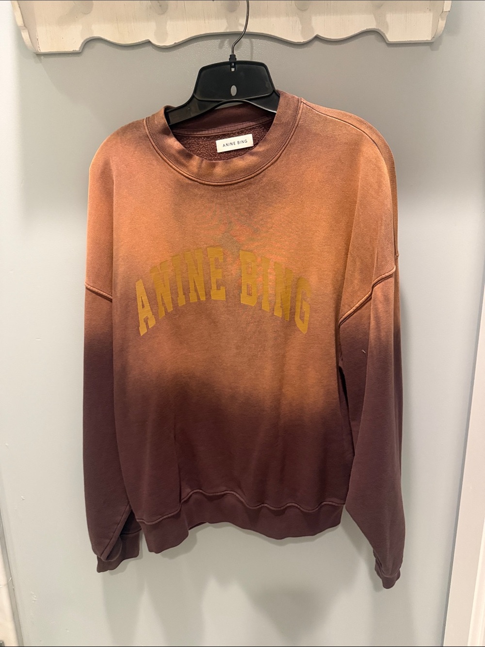 Anine Bing Ombre Crewneck Sweatshirt in Rust and Brown